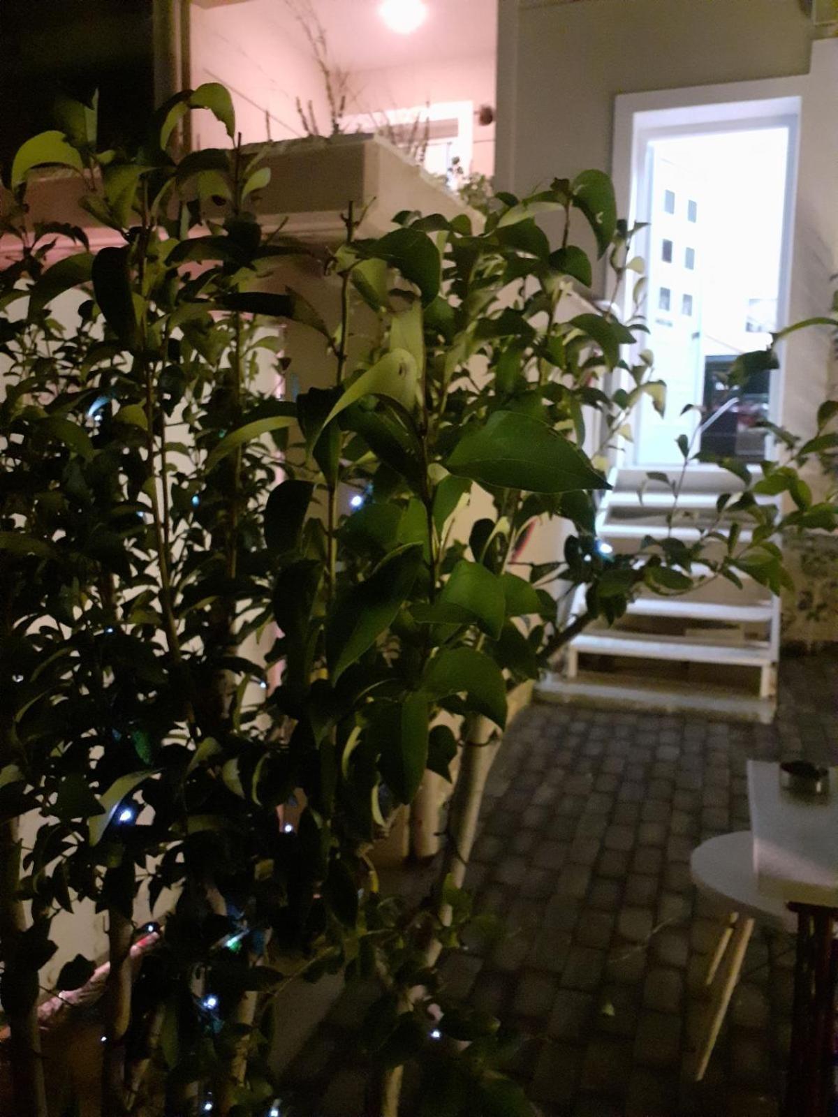 הוילה נאפפליו Exostis מראה חיצוני תמונה